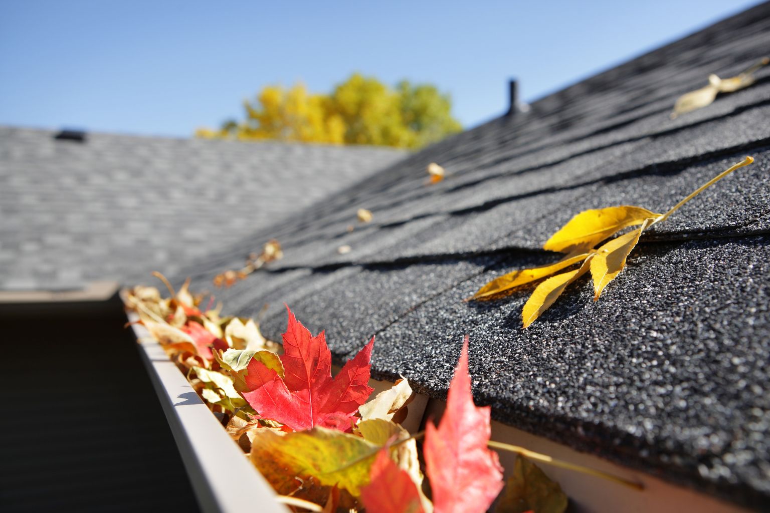 Seasonal Maintenance Tips for Renters